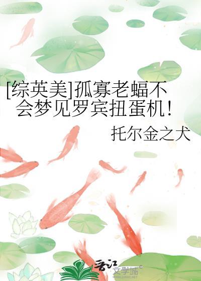 浣熊市男主