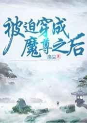 成为萨卡洛夫夫人第二部