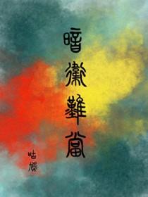 寻找海贼王