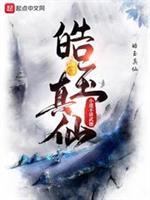 王师北定中原日家祭无忘告乃翁的乃是什么意思
