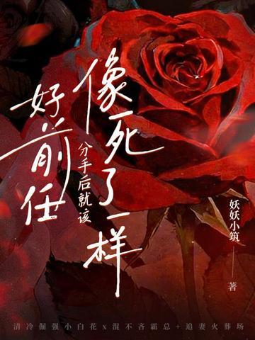 仙舞魅凰女主