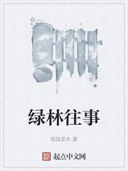 假贵族吉他谱