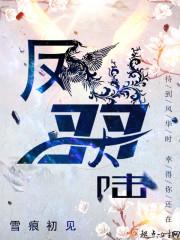 隐婚总裁的呆萌妻