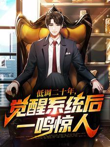 但只能聊天全文免费阅读