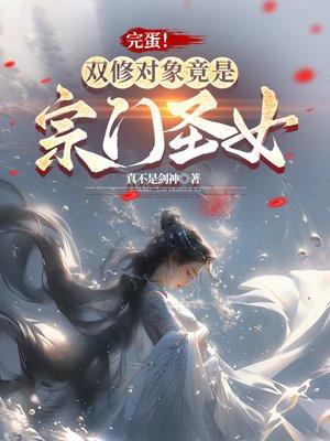 重生后,我成了省委书记的女婿