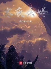 天启之夜百科