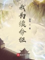 攻略系统