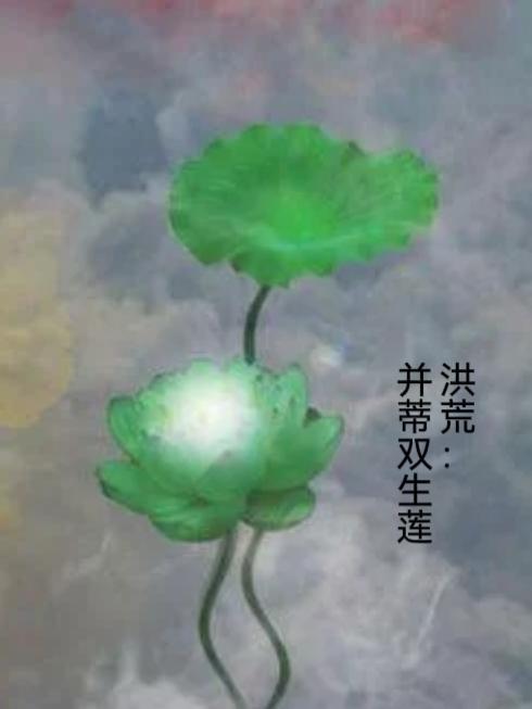 神医王妃:世子请自重