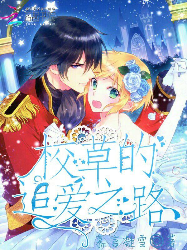 重生之婉清传
