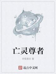 大夏皇位之暗网天阙