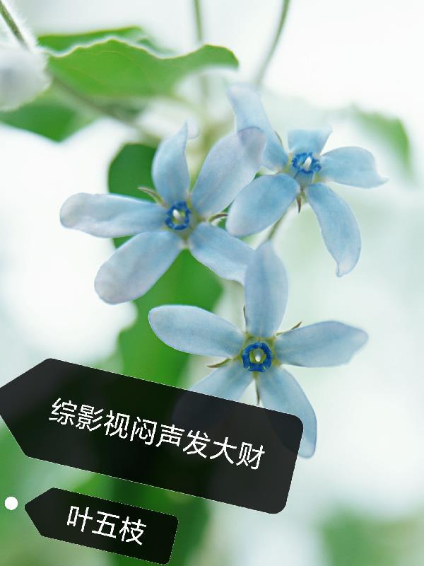 兽语破案!国家和小动物抢着宠我