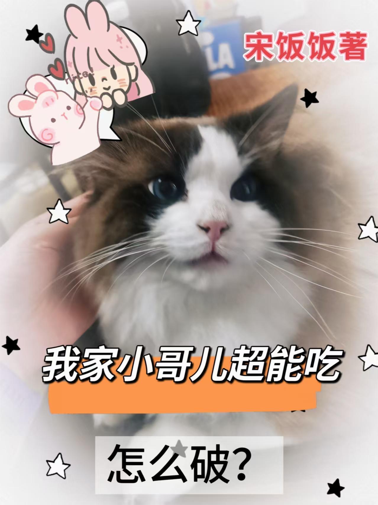 校园系恋爱