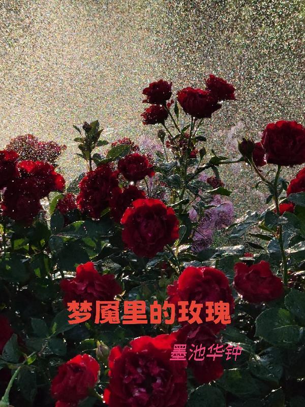 烧烧果实狗都不吃?狗不吃我吃