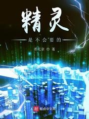 盛气之少年高手