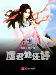红楼之清莲