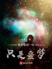 邪妃当盗