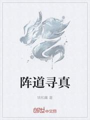 我在美国当赘婿