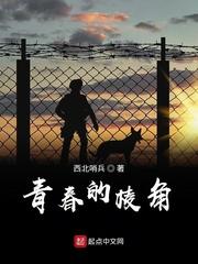 我在文明世界当酋长