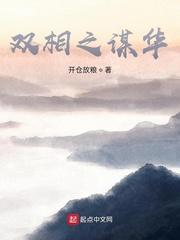 荣耀与巅峰