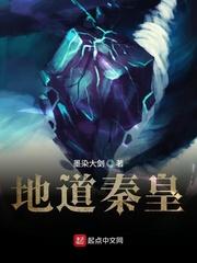 白苓傅琛小说