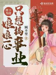 清穿之二嫁四爷