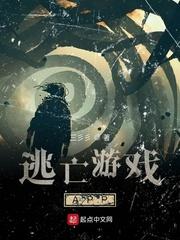 布衣帝行