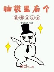 两宋风云之中兴四将