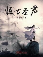 海贼:毁灭之拳
