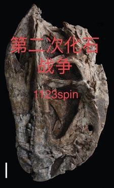 林默律师霸凌者无罪我送他死刑