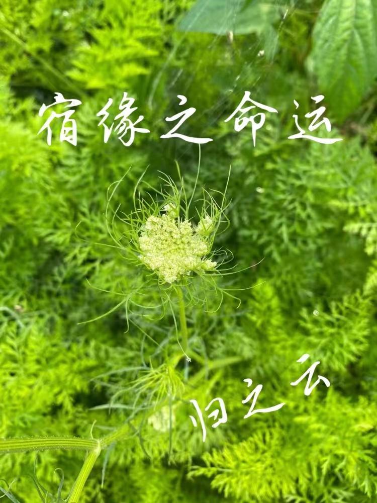 诸天,从淬火年代开始