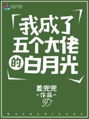 错爱十五年宋小姐放手再不回头