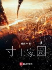 沈慈
