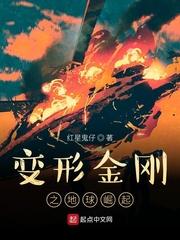 穿进万人迷总受po文是种什么体验