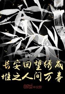 雪满长安小说by文成三百斤