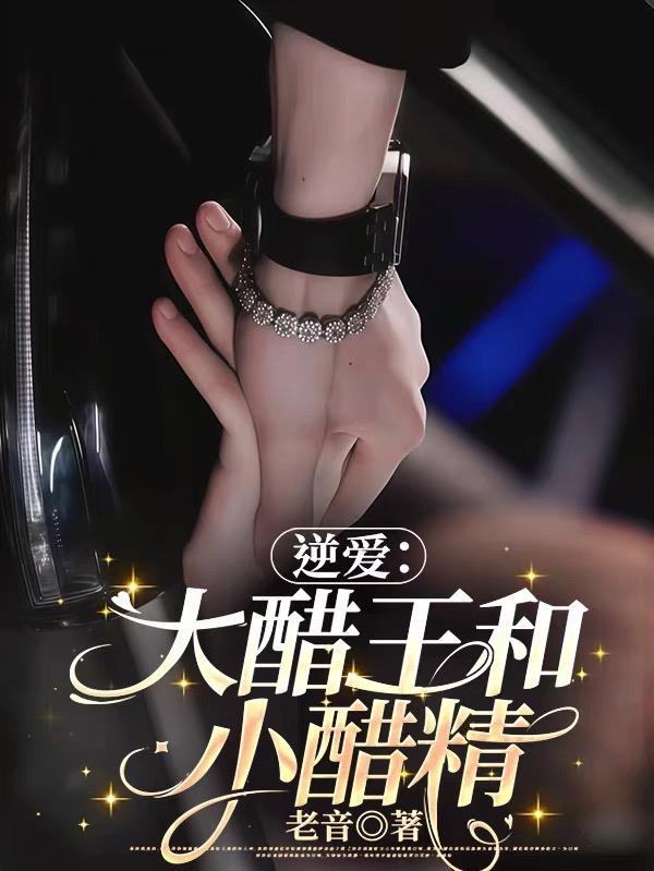 强龙出狱叶辰