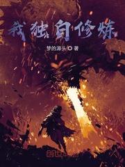 超级盗贼