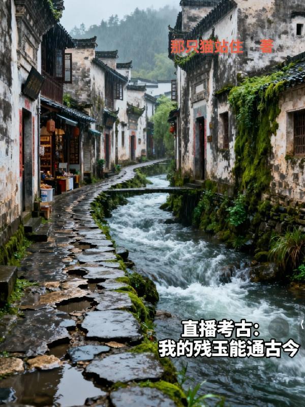 硅谷晨昏线