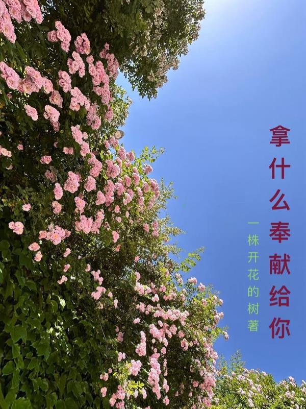 末世之传奇商店