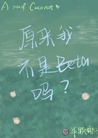 我当然是在追老婆啦