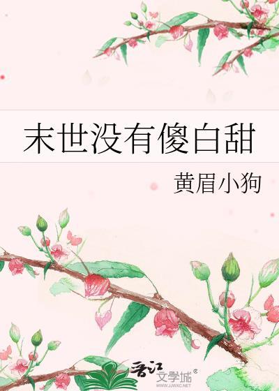 越过晨昏线